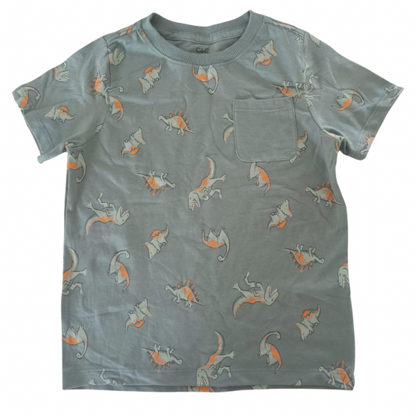 Boys Cotton T-Shirt - Dino Green
