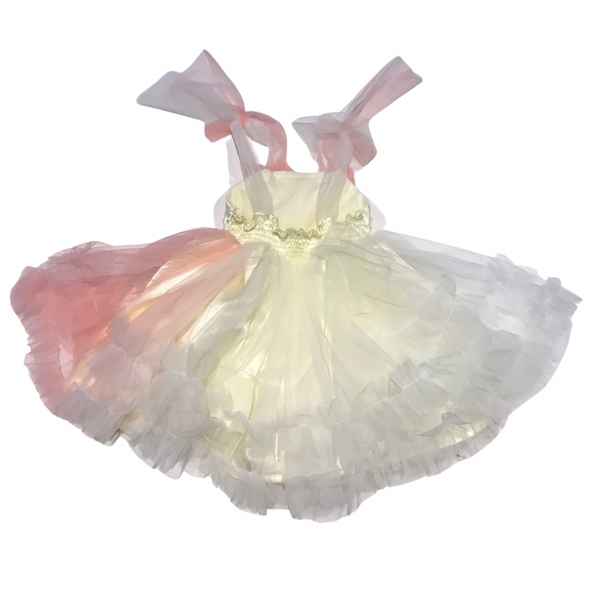 Baby & Kids Two Toned Party Dress in Butterfly Theme