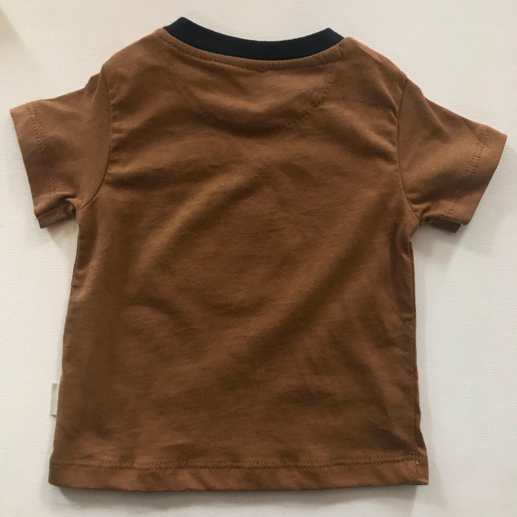 Boys Cotton T-Shirt - Brown with Red Car