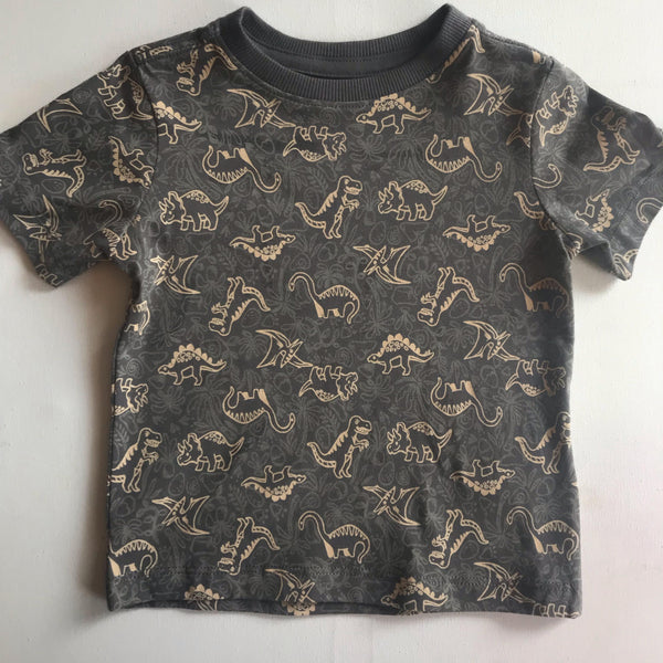 Baby & Kids Dino T Shirt - Charcoal Grey