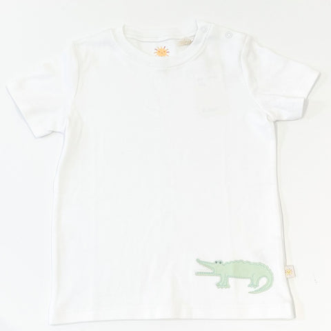 Baby Boy T-shirts (2-8 Years)