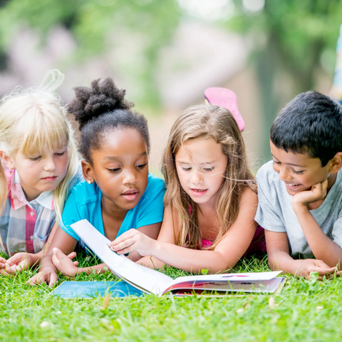 Activity Books