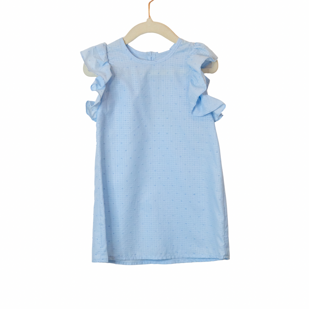 Light blue checkered dress with ruffled sleeves on a white background