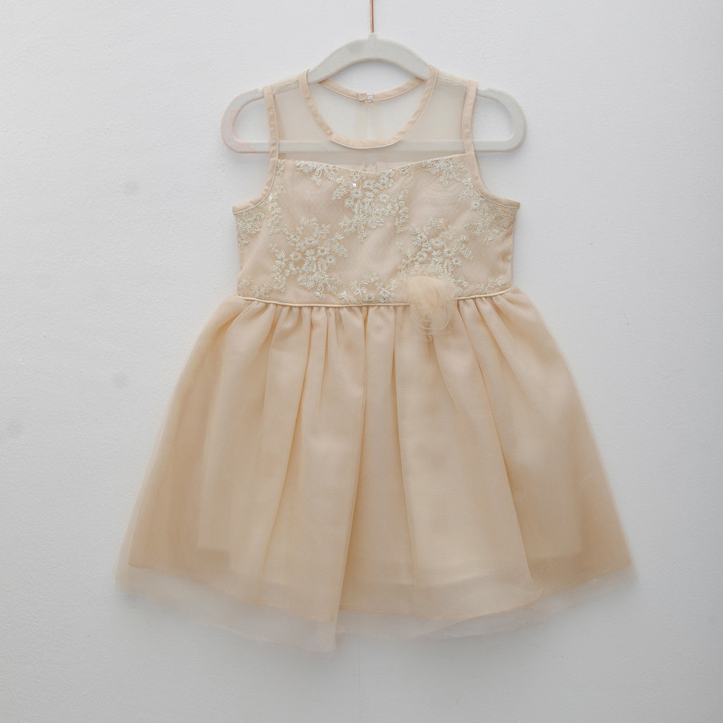 Beige dress with floral embroidery on a white background