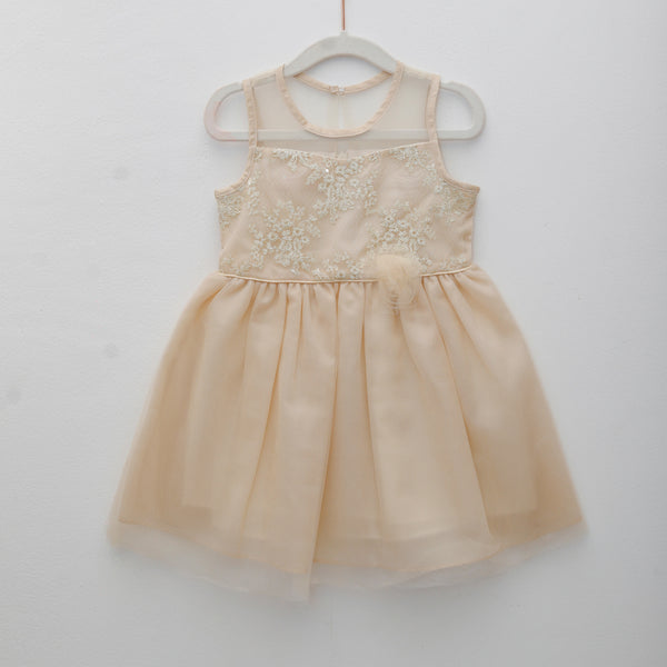 Beige dress with floral embroidery on a white background