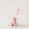 Pink teddy bear in a clear bag with a pink ribbon on a light background