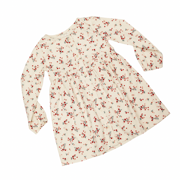 Floral dress with red flowers on a white background