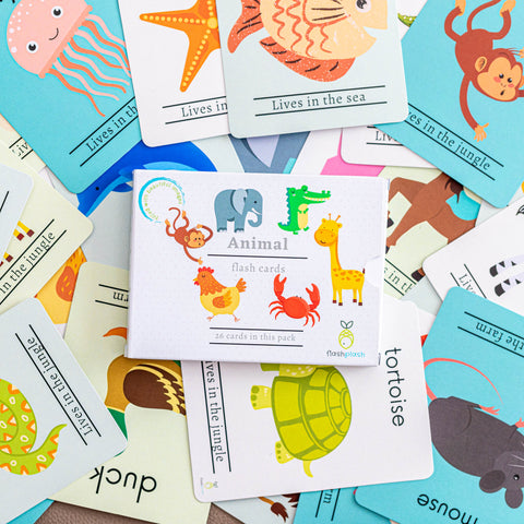 Flash Cards